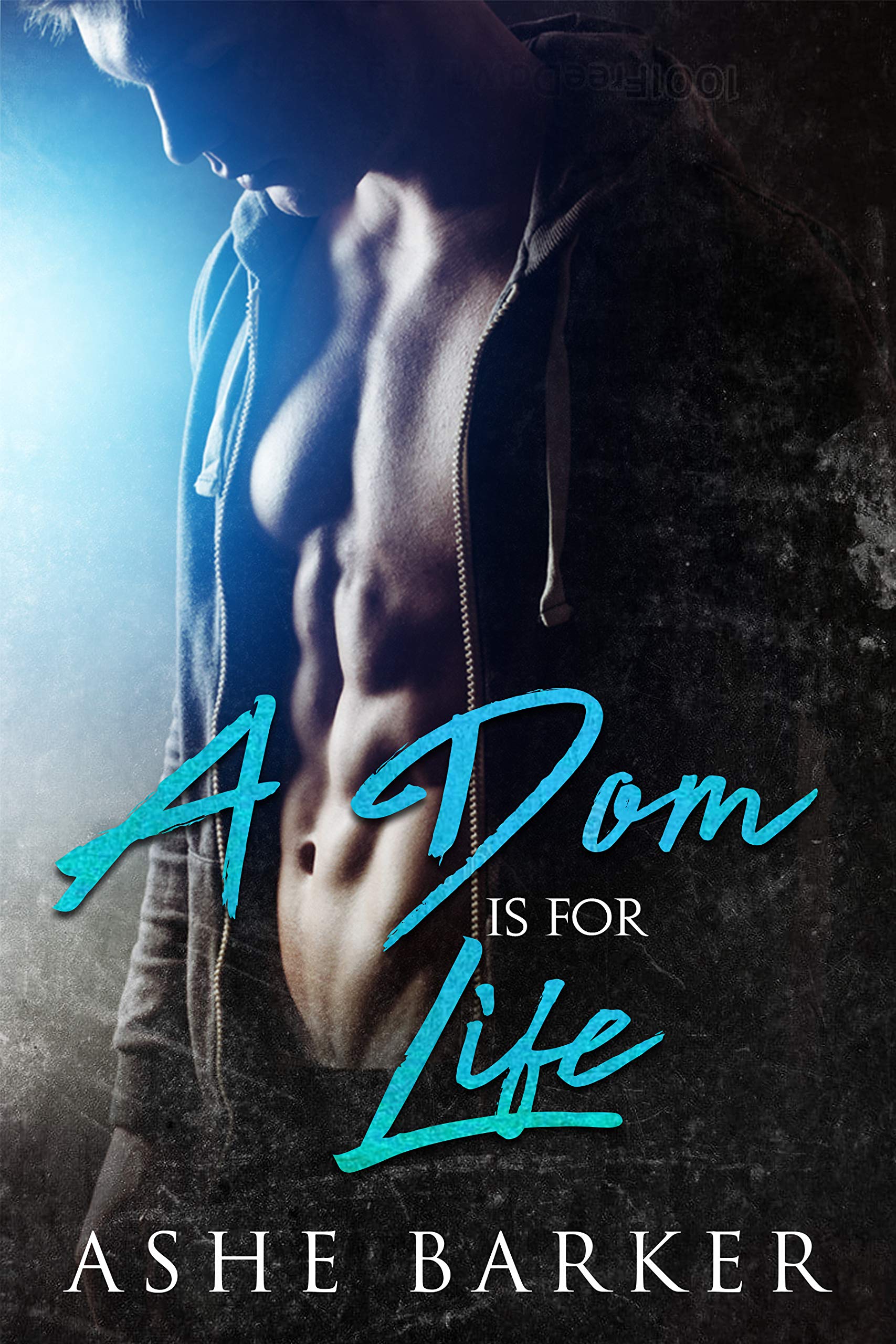 A Dom is for Life book cover