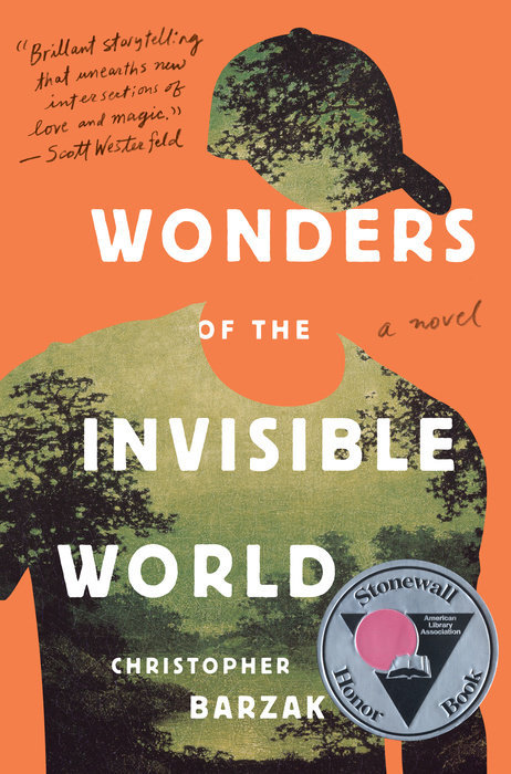 Wonders of the Invisible World book cover