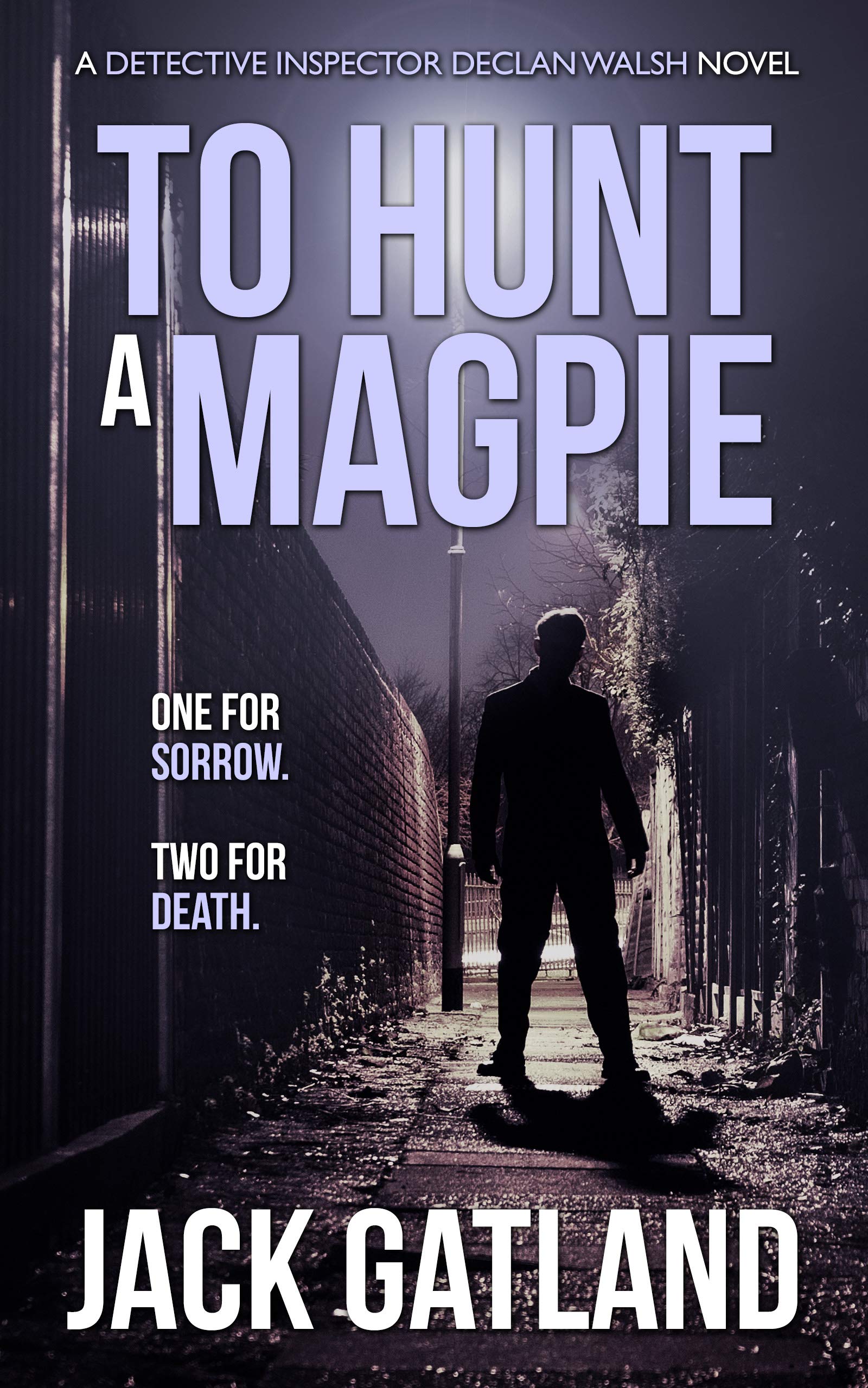 To Hunt A Magpie book cover