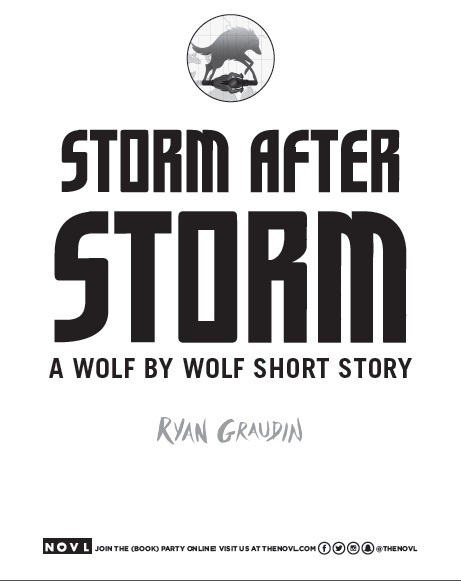 Storm After Storm book cover