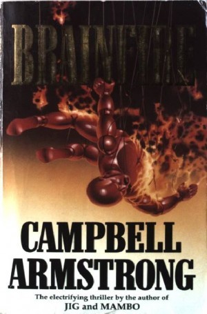 Brainfire book cover