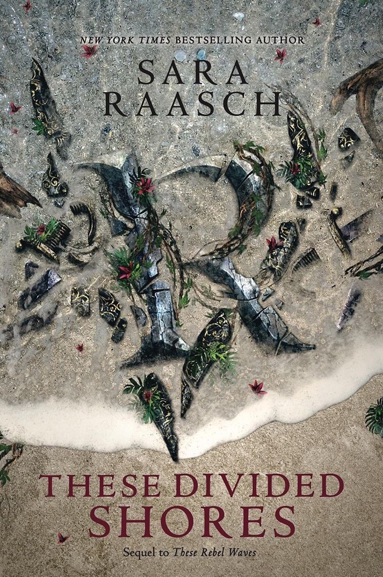Stream Raiders book cover 2