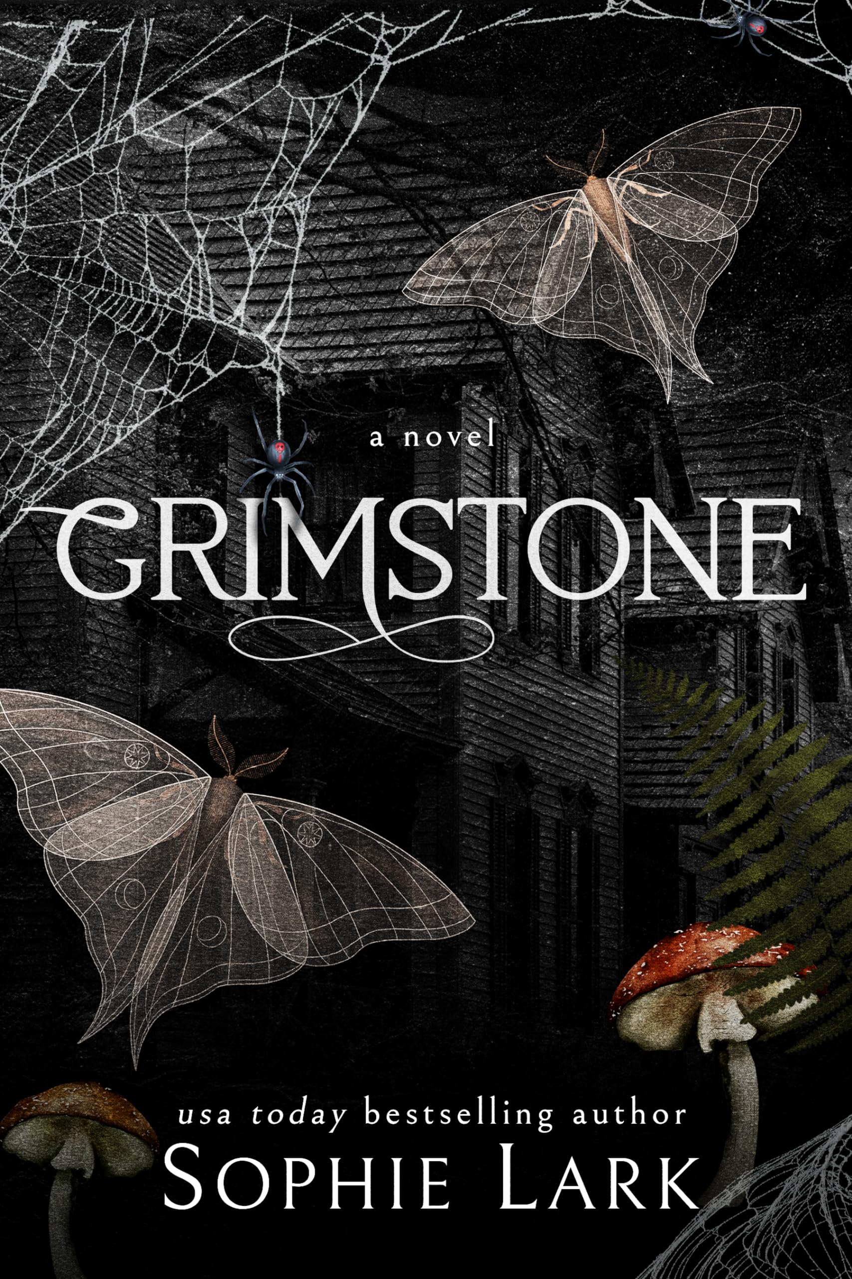 Grimstone book cover 1
