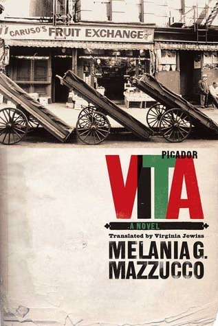 Vita book cover
