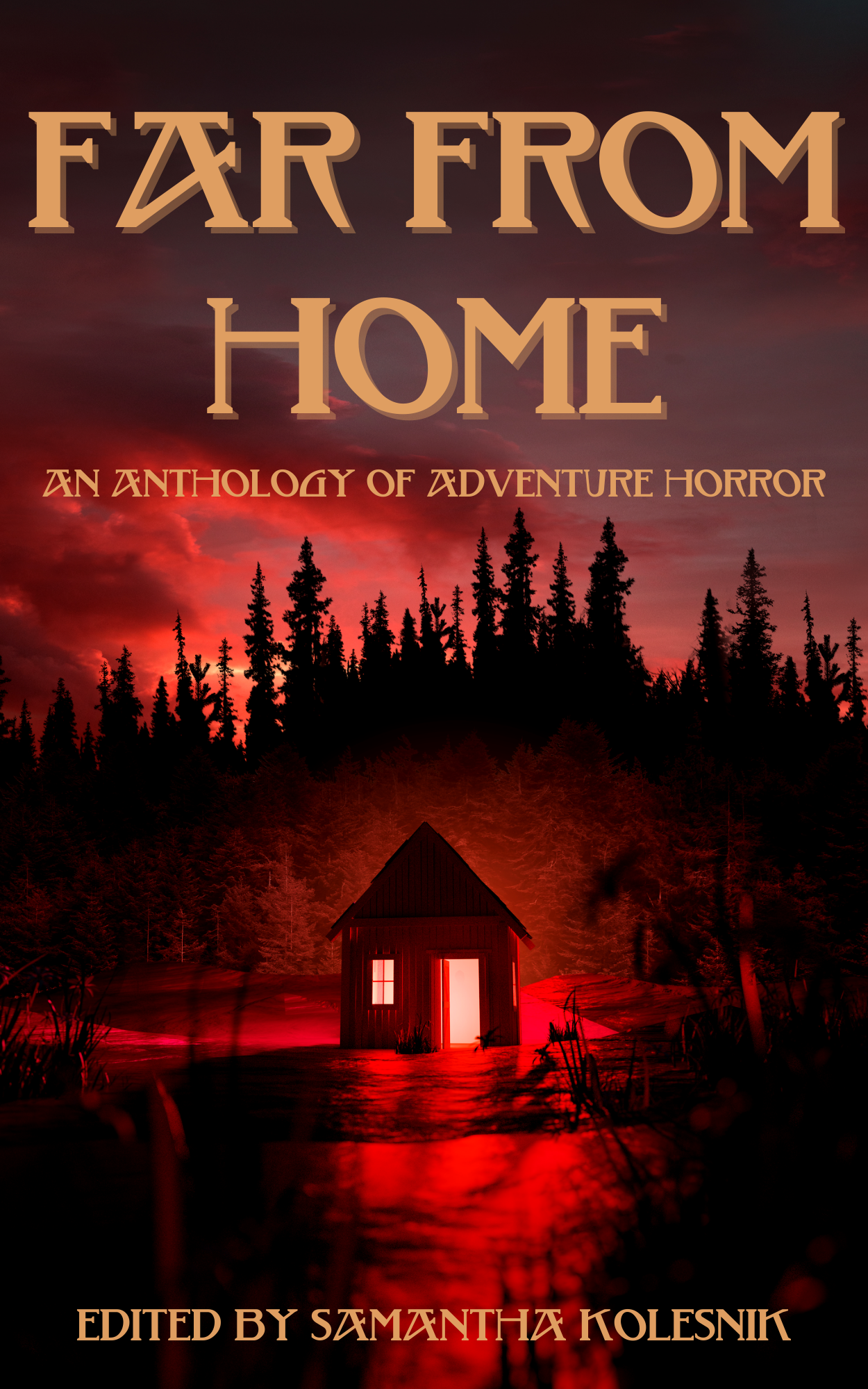 Far From Home book cover