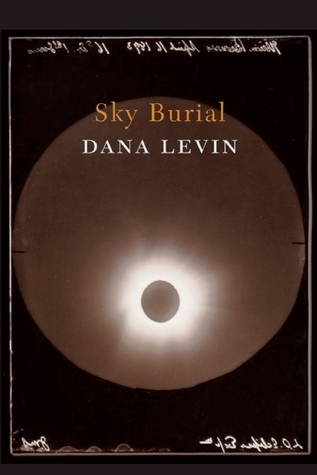 Sky Burial book cover