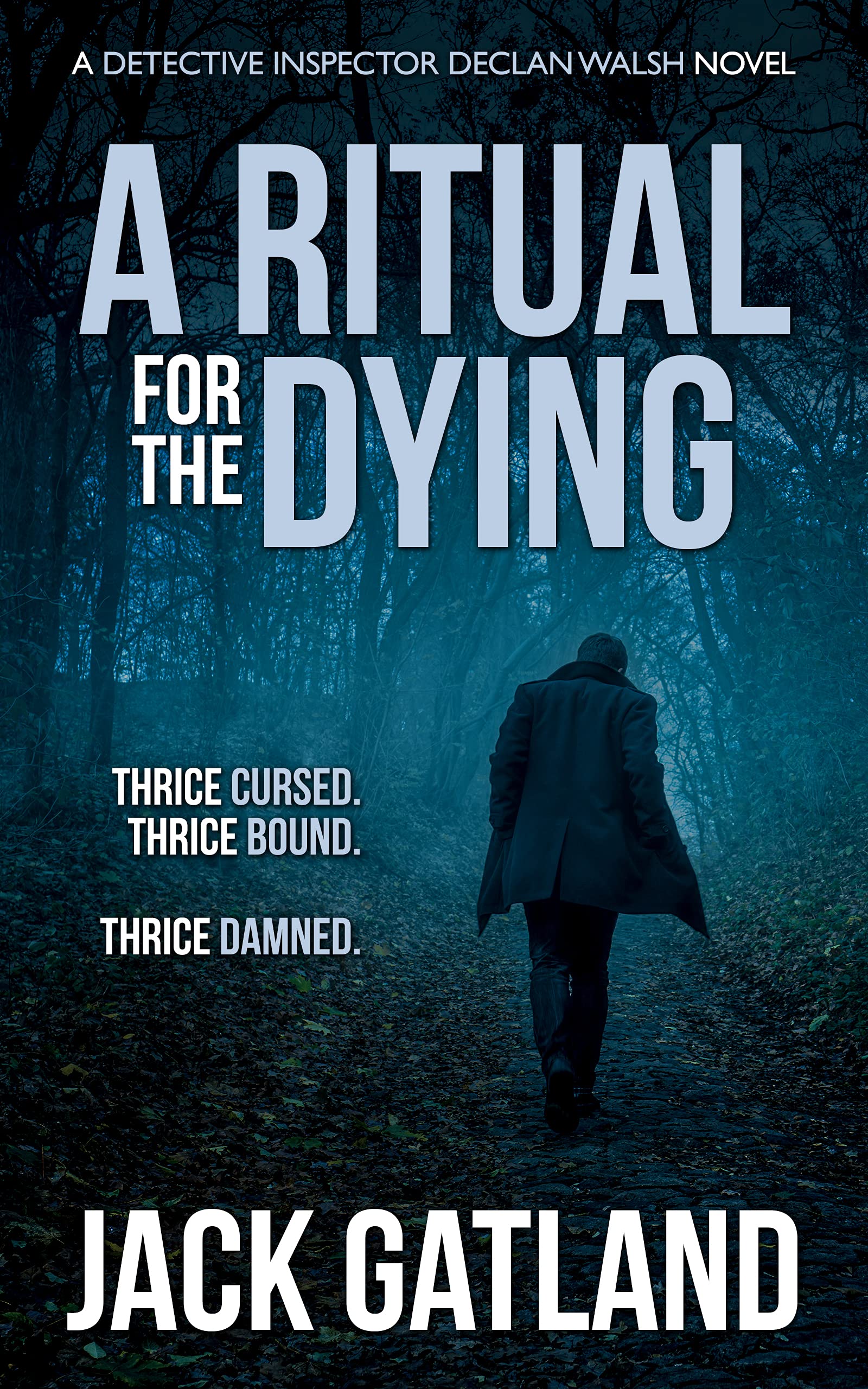 A Ritual For the Dying book cover