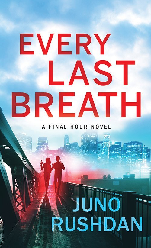 Final Hour book cover 1