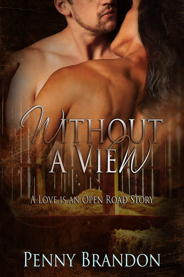 Without a View book cover