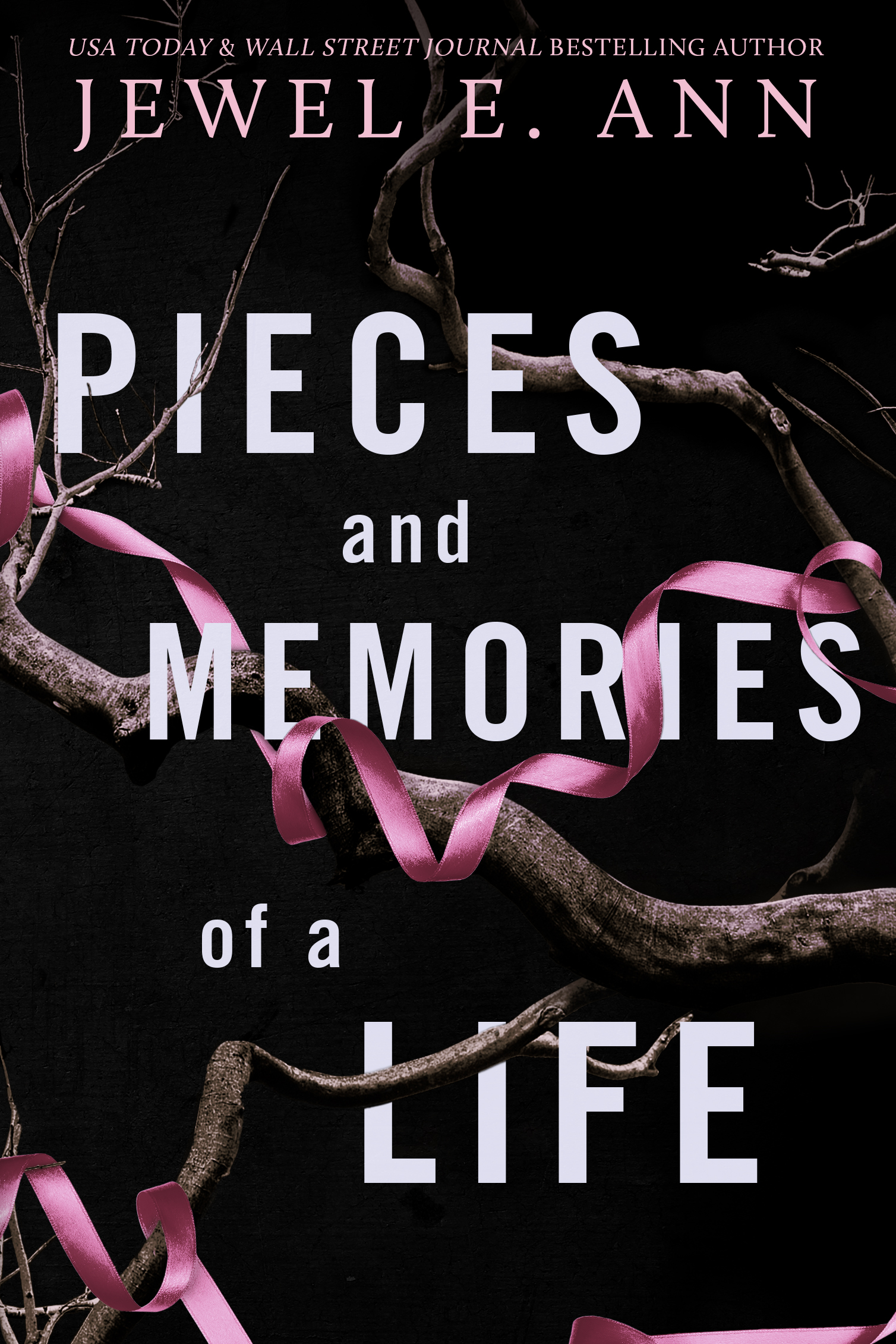 Pieces and Memories of a Life book cover