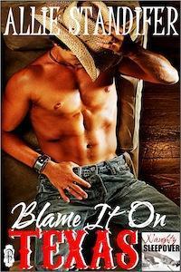 Naughty Sleepover book cover 1