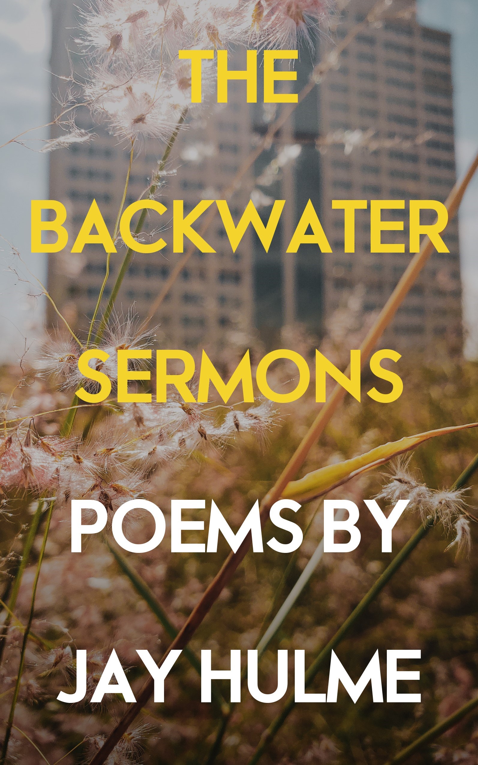 The Backwater Sermons book cover