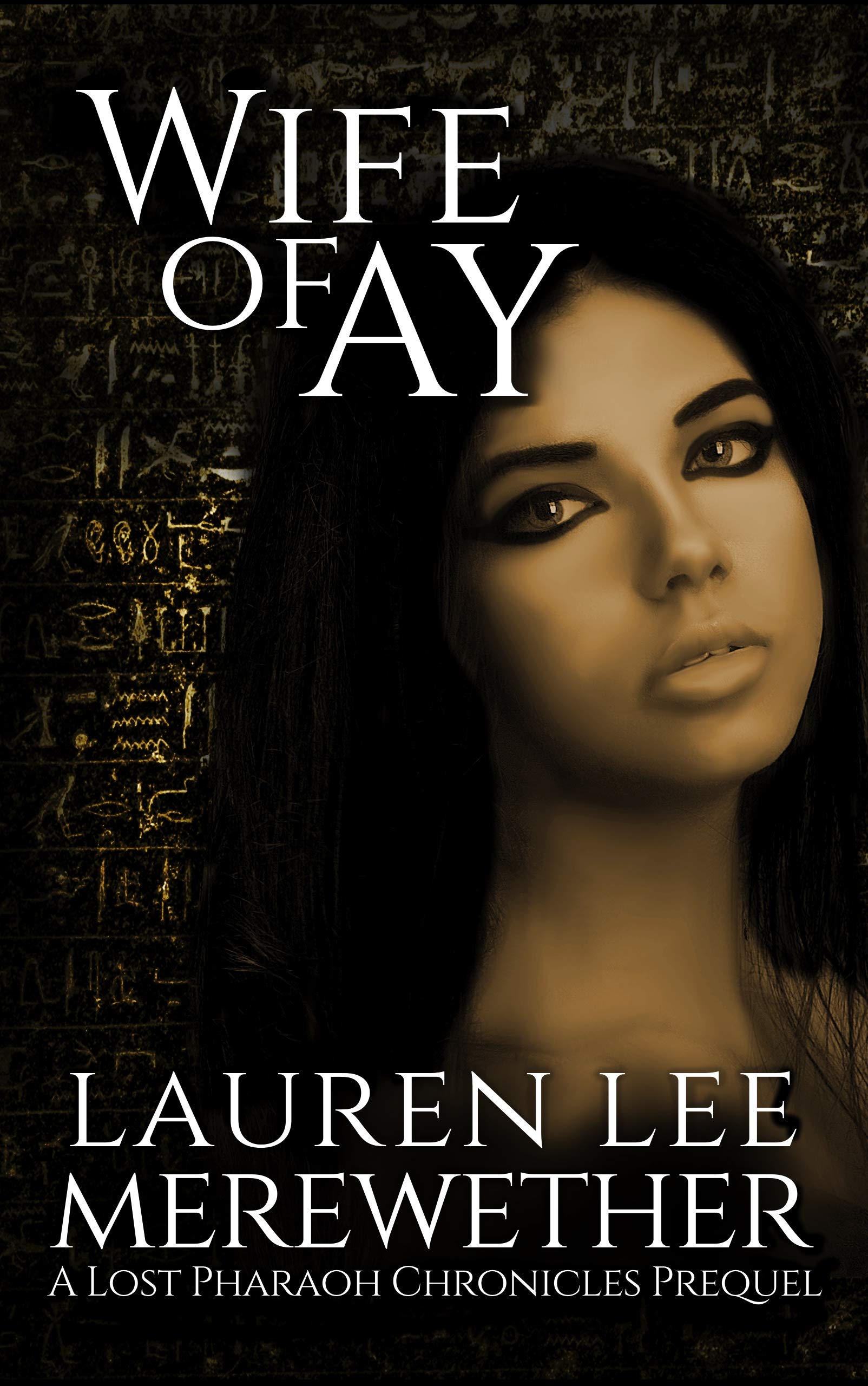 Wife of Ay book cover