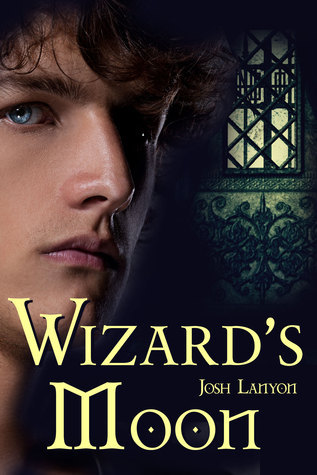 Wizard's Moon book cover