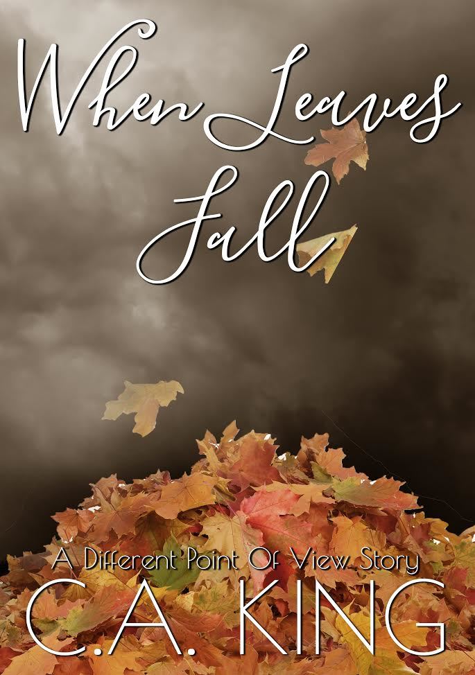 When Leaves Fall book cover