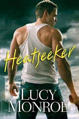 Heatseeker book cover