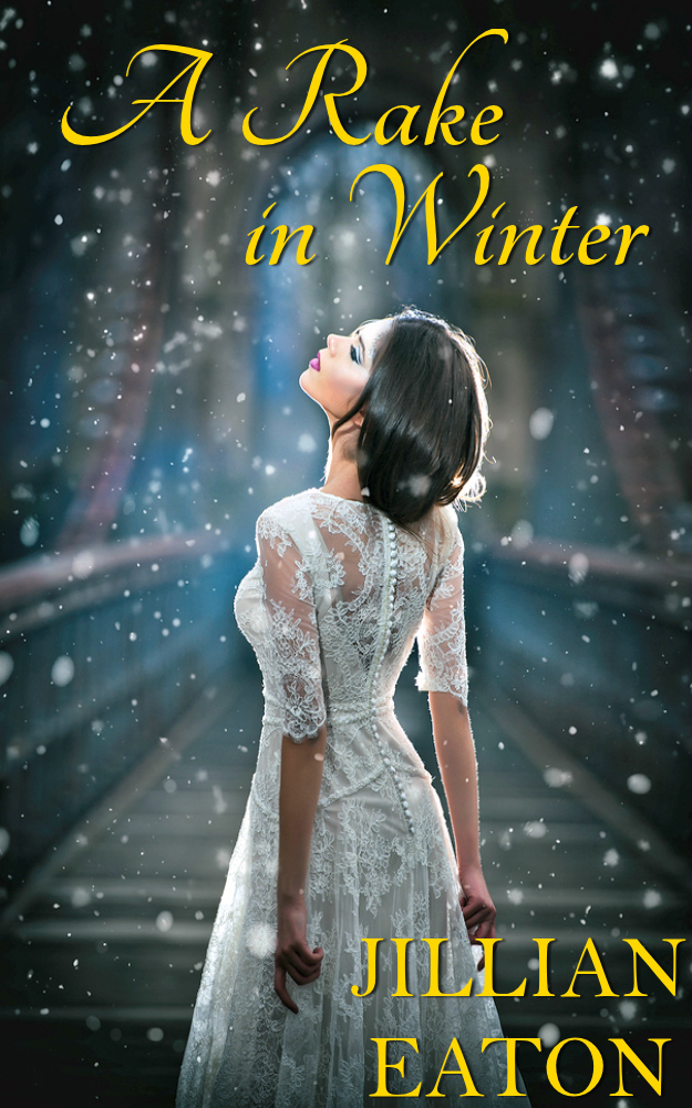 A Rake in Winter book cover