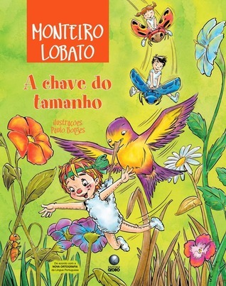 A CHAVE DO TAMANHO book cover