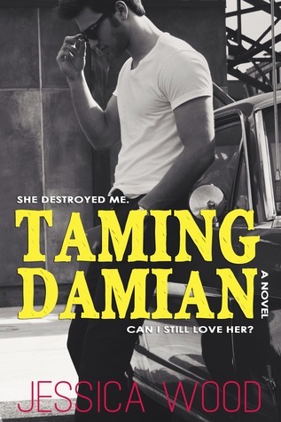 The Heartbreaker book cover 2