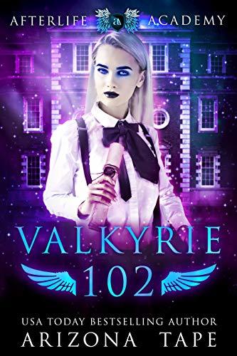 The Afterlife Academy: Valkyrie book cover 2