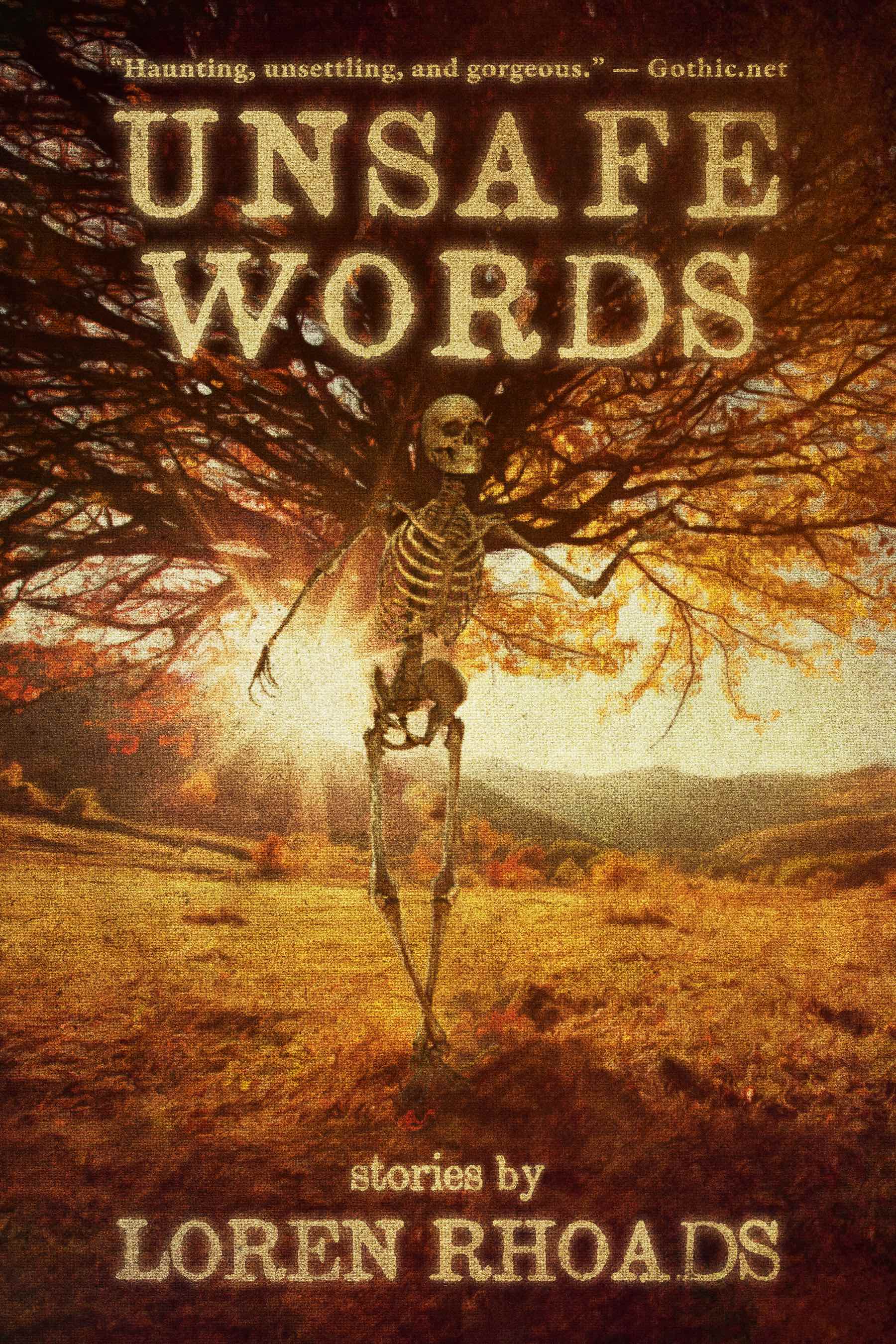 Unsafe Words book cover