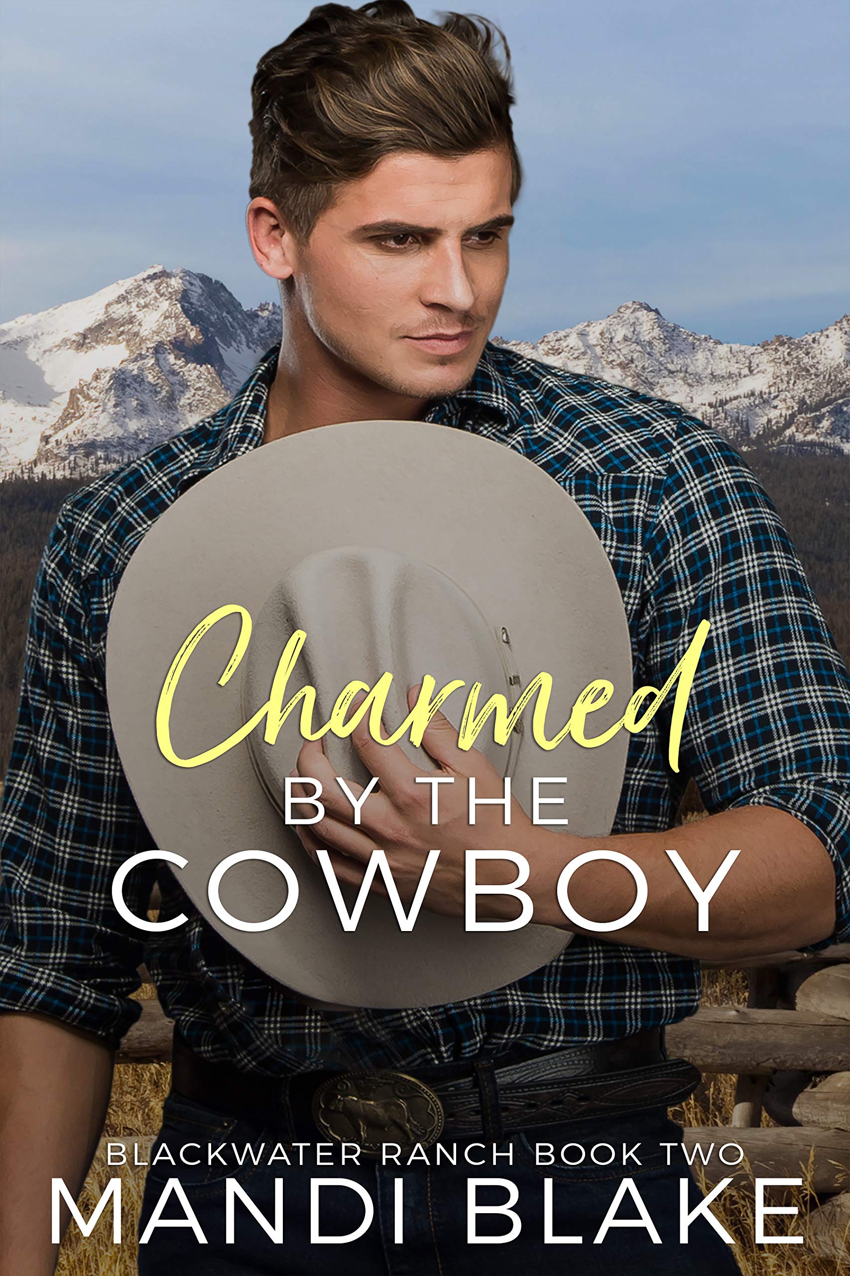 Blackwater Ranch book cover 2