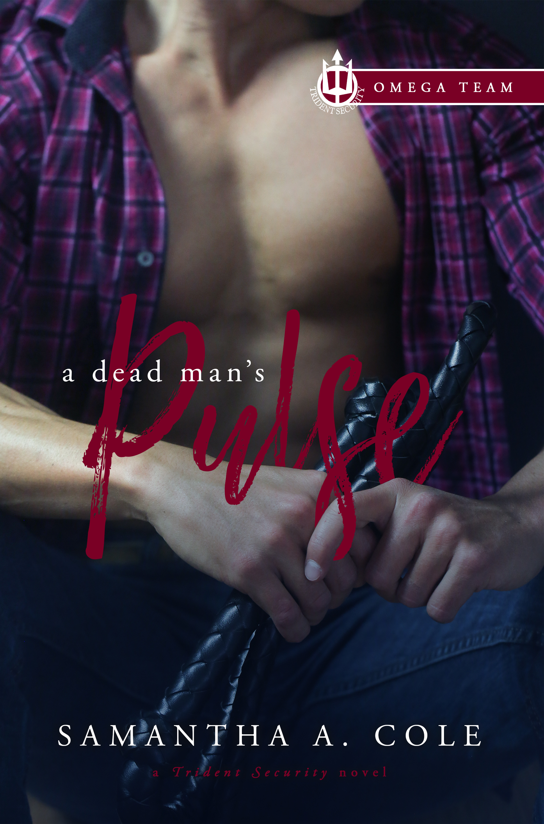 A Dead Man's Pulse book cover