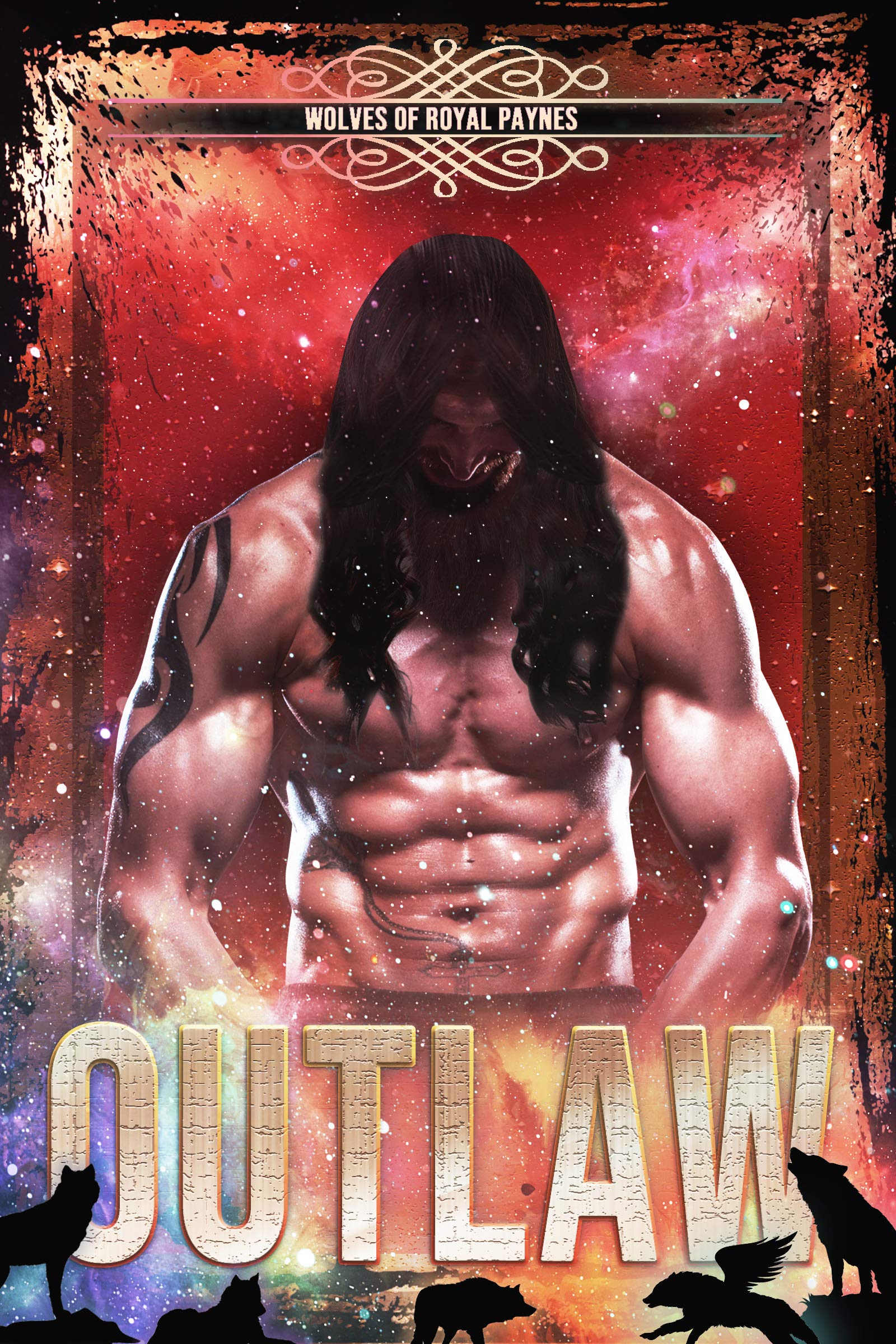 Outlaw book cover