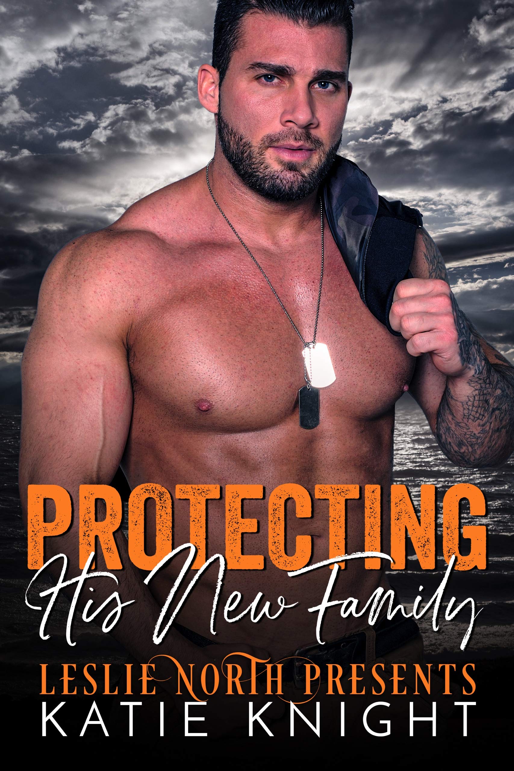Protecting His New Family book cover