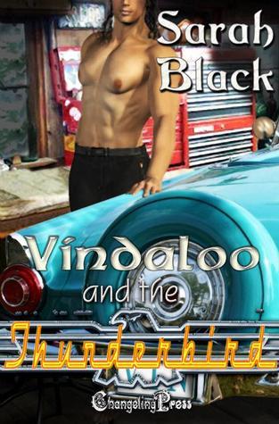 Vindaloo and the Thunderbird book cover