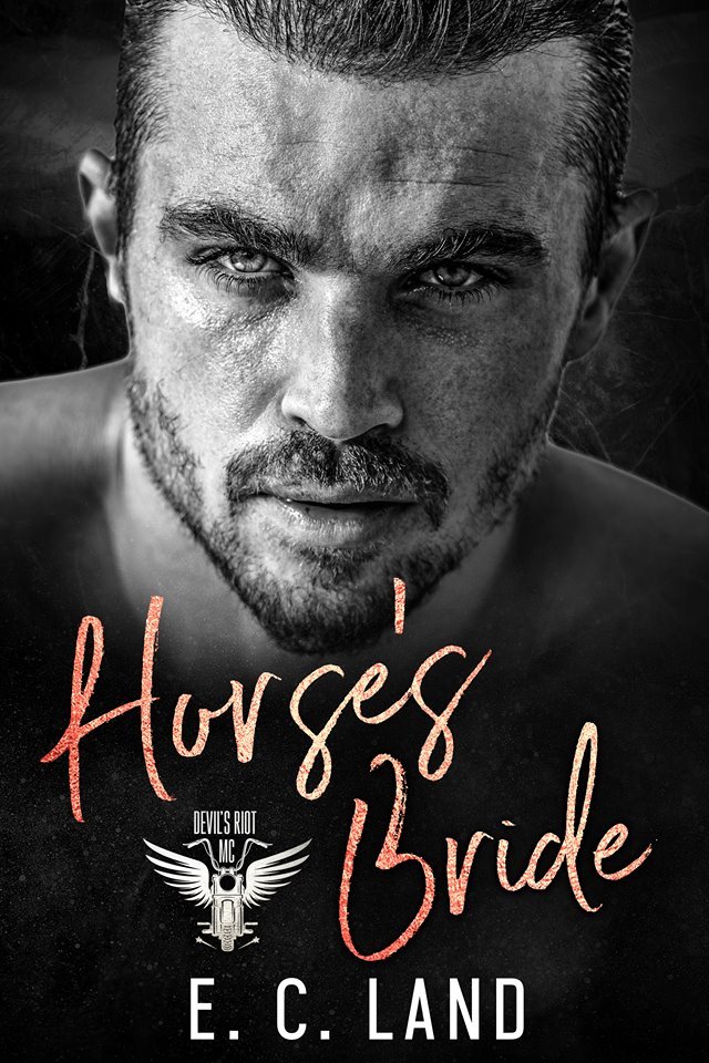 Devil's Riot MC book cover 1