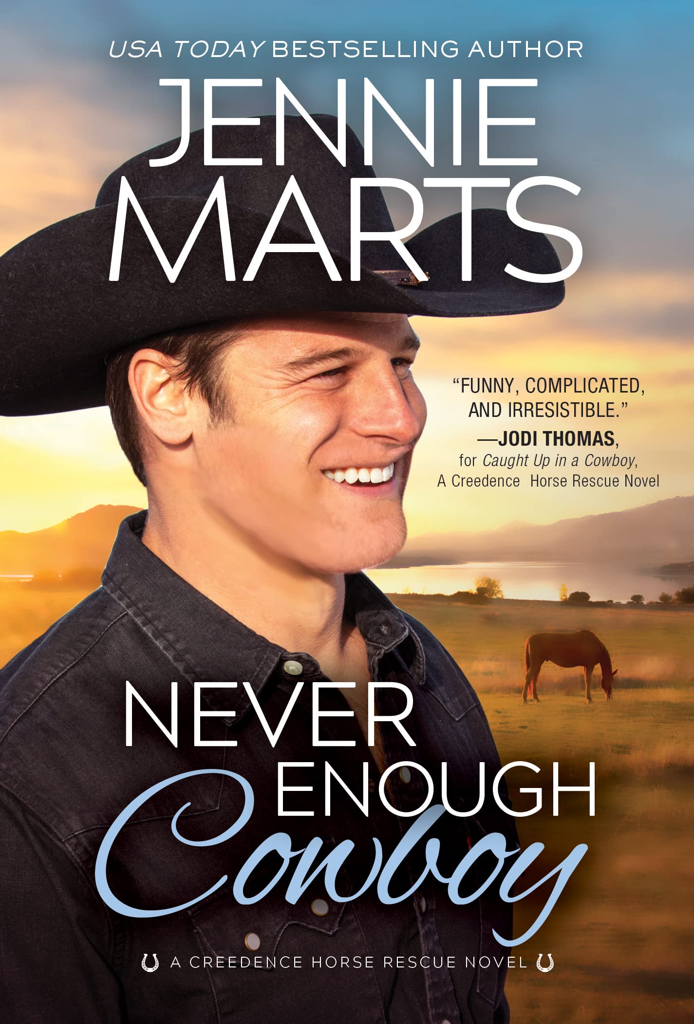 Never Enough Cowboy book cover