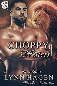 Choppy Waters book cover