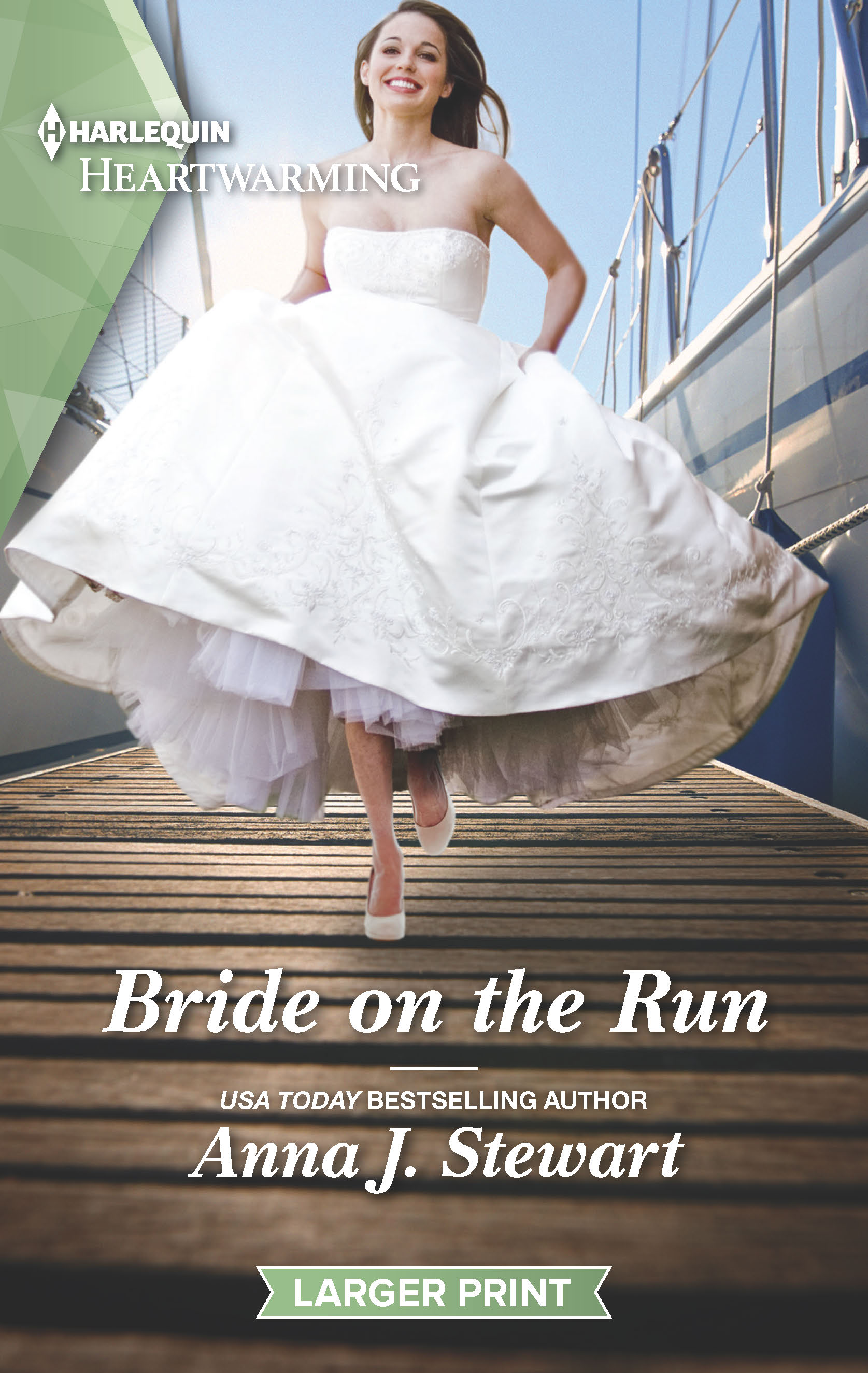 Bride on the Run book cover