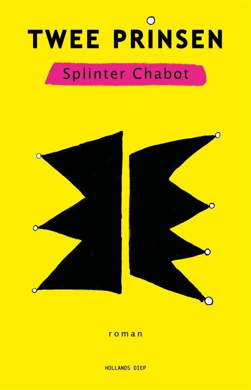 Twee prinsen book cover