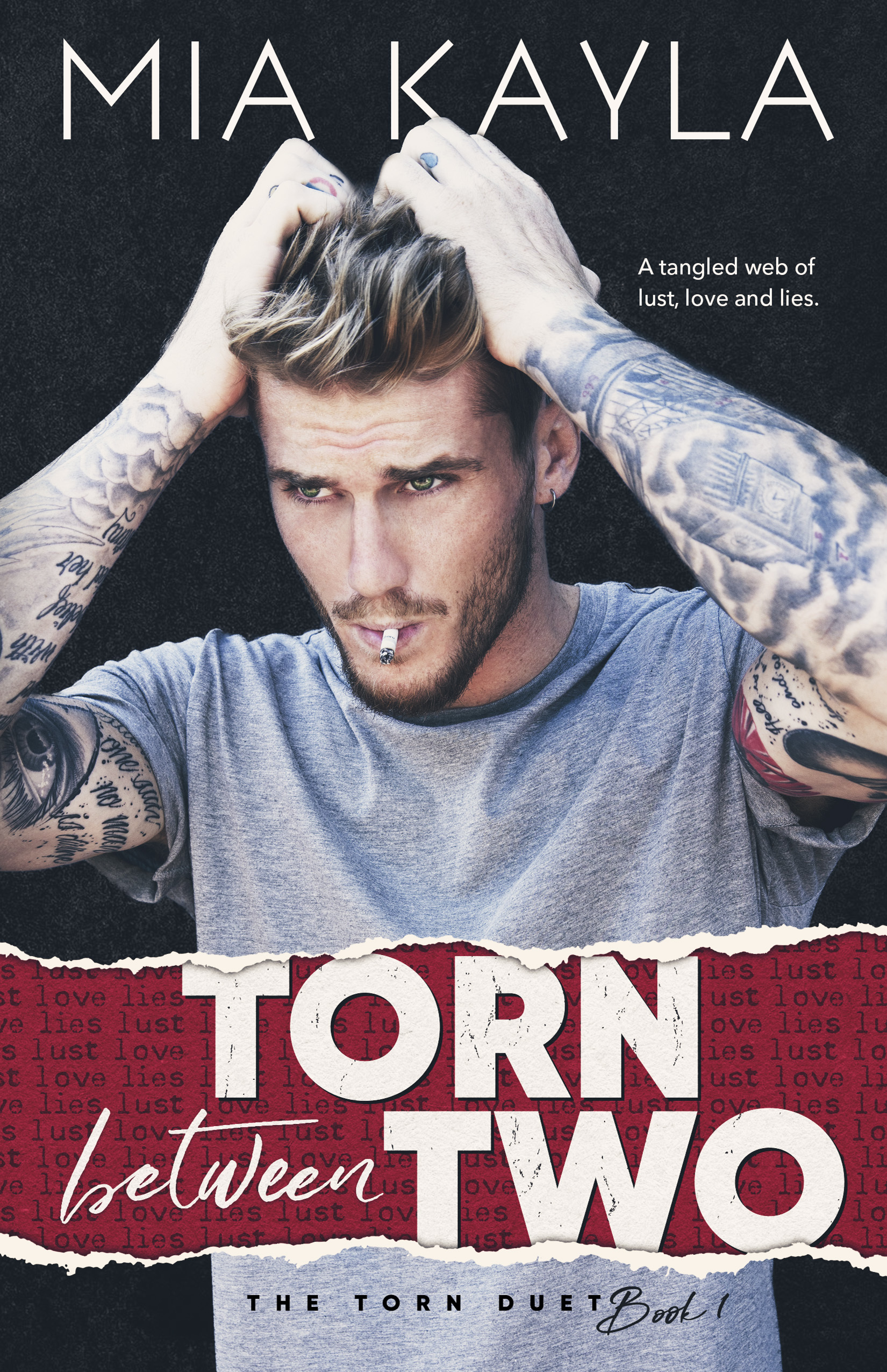 The Torn Duet book cover 1