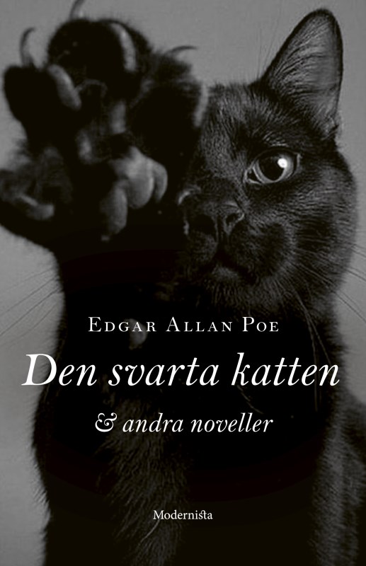 Den svarta katten och andra noveller book cover