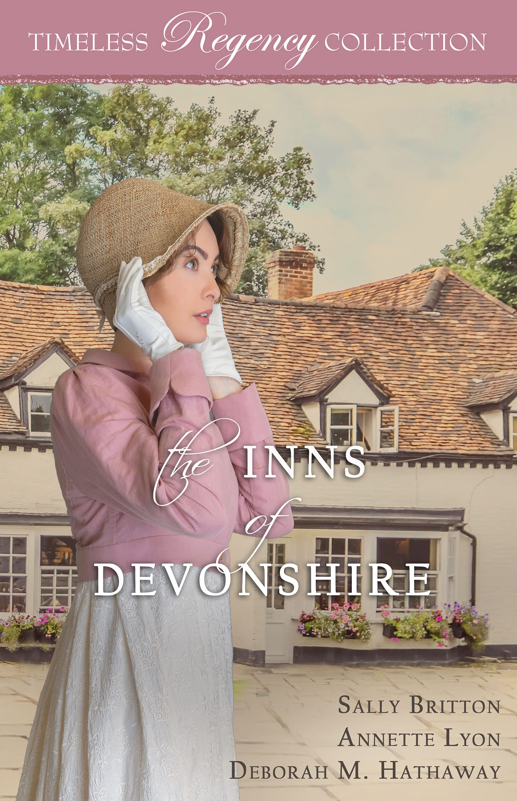 The Inns of Devonshire book cover