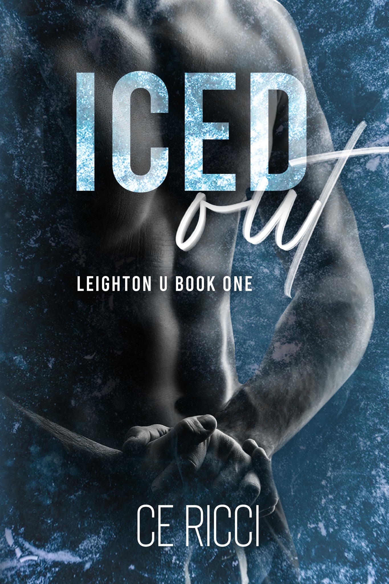Leighton U book cover 1