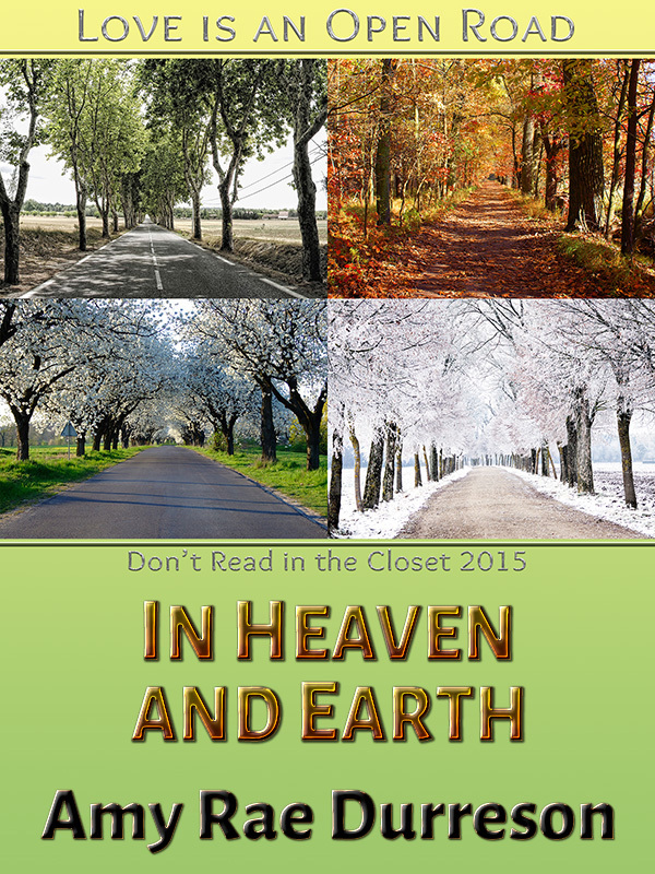 In Heaven or Earth book cover