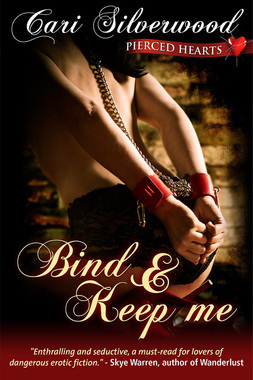Pierced Hearts book cover 2