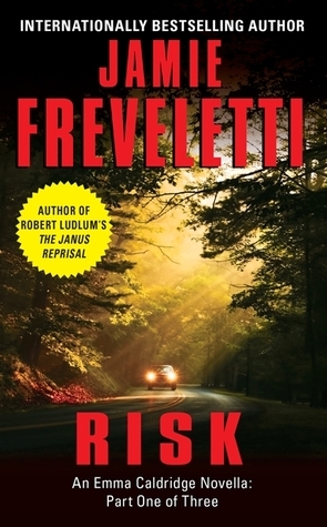 Risk book cover