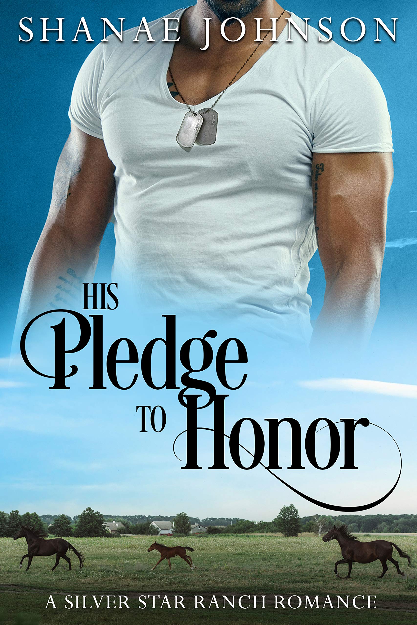 The Silver Star Ranch book cover 1