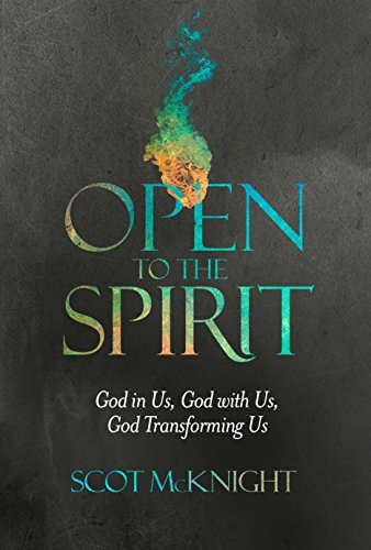 Open to the Spirit book cover