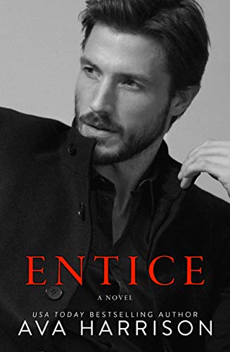 The Price Family book cover 2