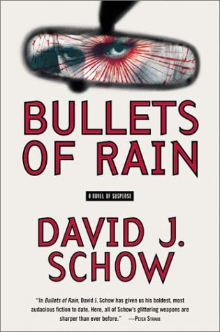Bullets of Rain book cover