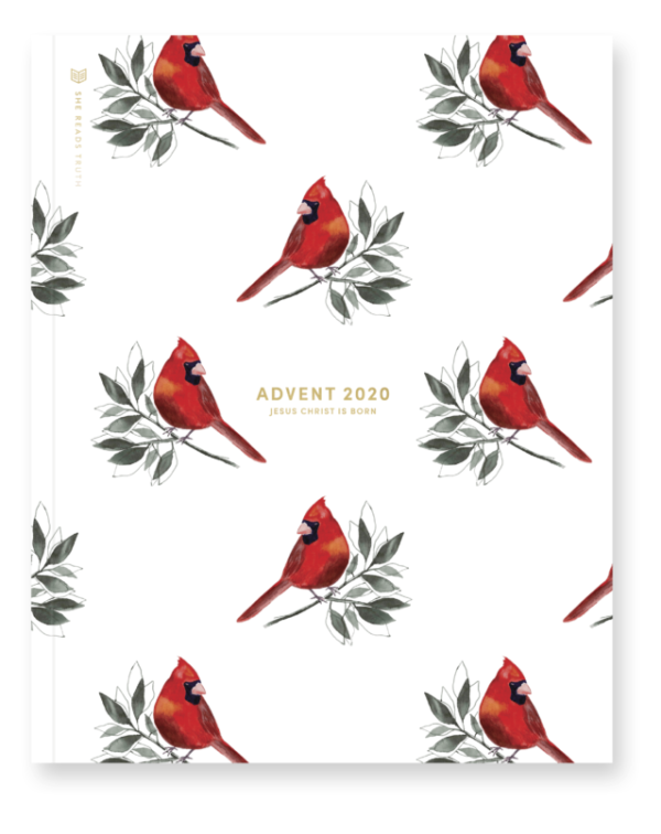 Advent 2020 book cover