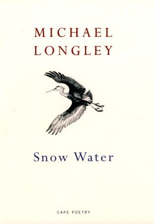Snow Water book cover