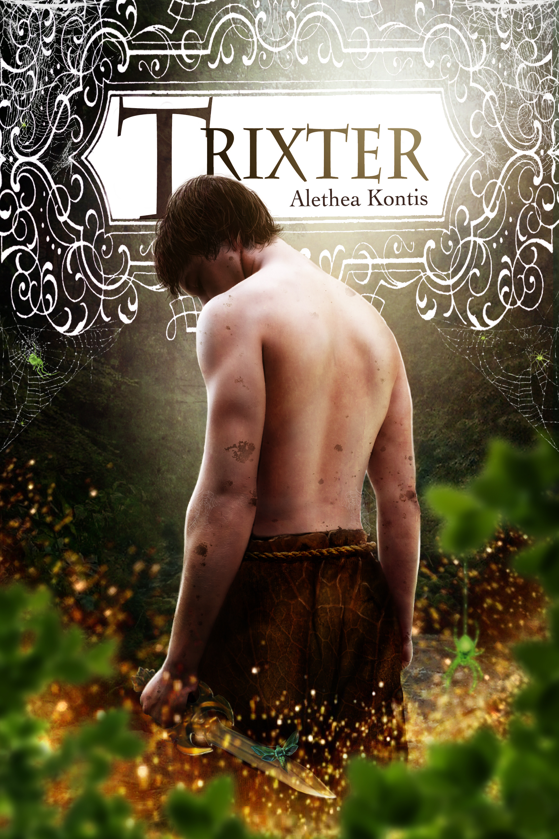 Books of Arilland book cover 3