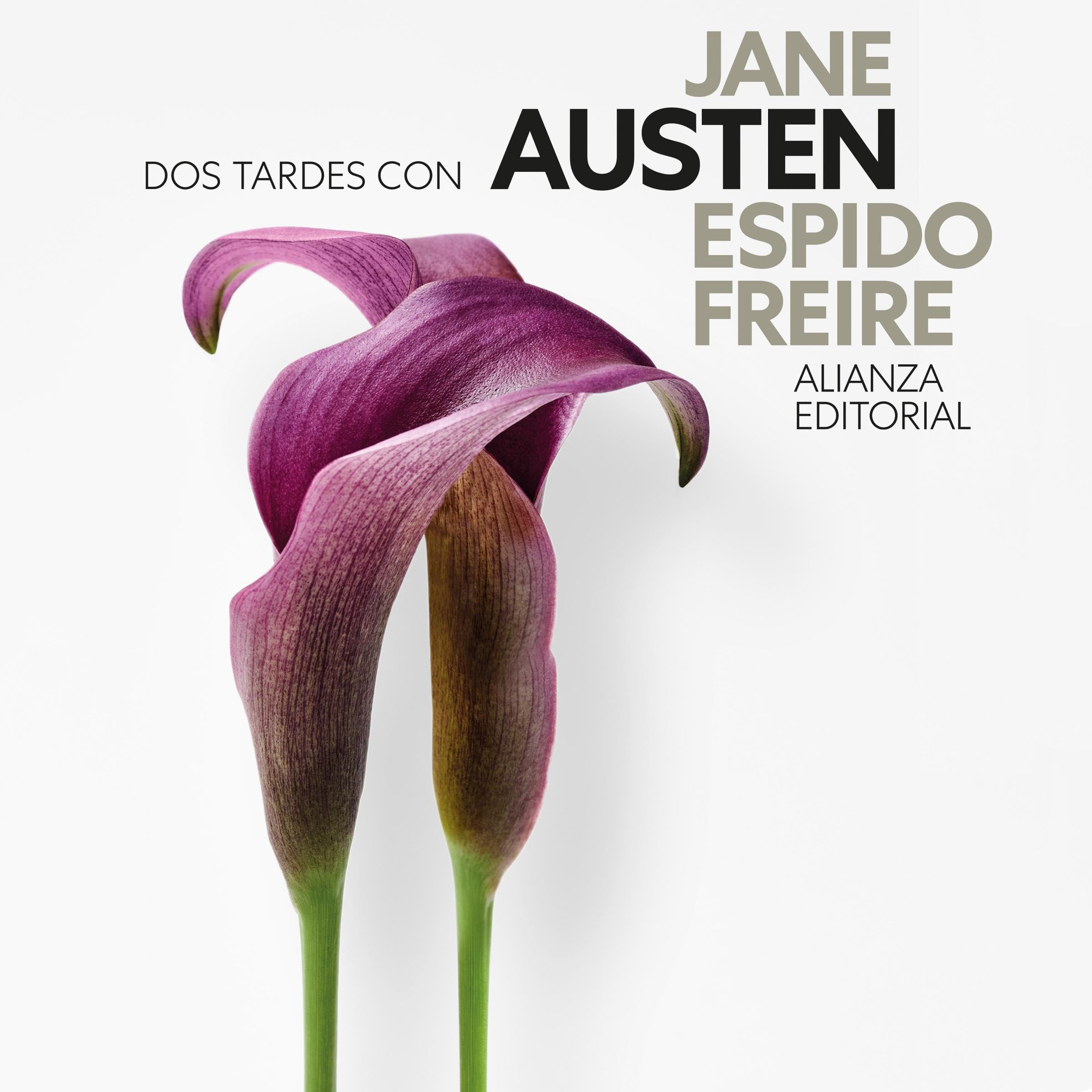 Dos tardes con Jane Austen book cover